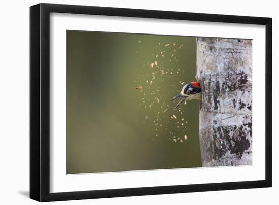 Spring Cleaning-Olof Petterson-Framed Photographic Print