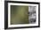 Spring Cleaning-Olof Petterson-Framed Photographic Print