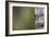 Spring Cleaning-Olof Petterson-Framed Photographic Print