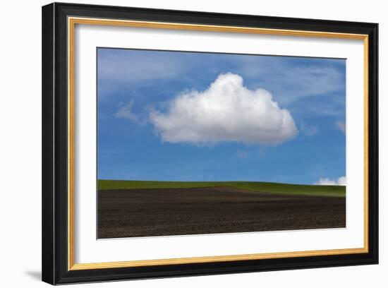 Spring Cloud-Trent Foltz-Framed Art Print