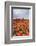 Spring Clouds over Fields of Multicolored Tulips and Windmill, Netherlands-Roberto Moiola-Framed Photographic Print