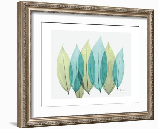 Spring Coculus Leaves-Albert Koetsier-Framed Art Print