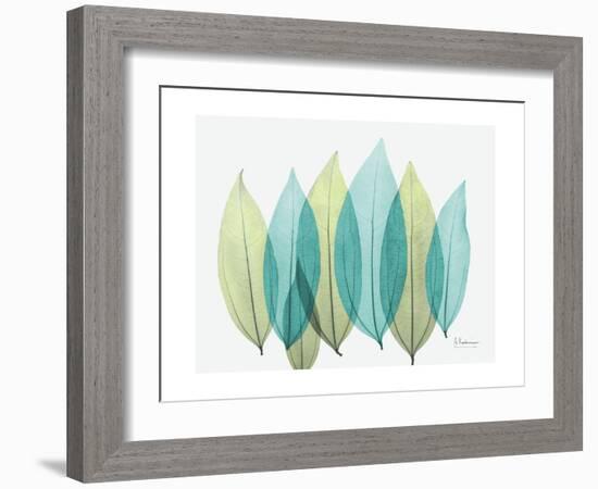 Spring Coculus Leaves-Albert Koetsier-Framed Art Print