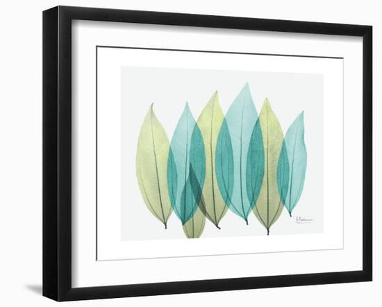 Spring Coculus Leaves-Albert Koetsier-Framed Art Print