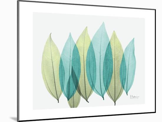 Spring Coculus Leaves-Albert Koetsier-Mounted Art Print