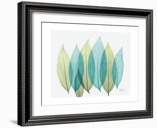 Spring Coculus Leaves-Albert Koetsier-Framed Art Print