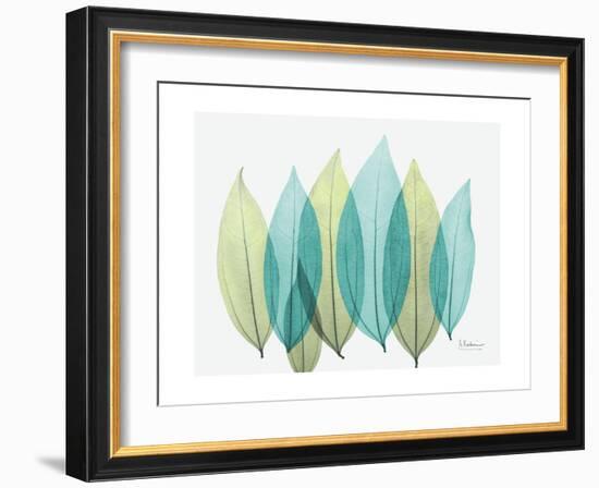 Spring Coculus Leaves-Albert Koetsier-Framed Art Print