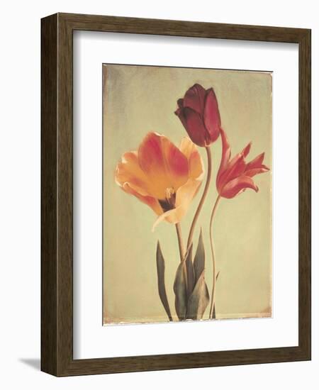 Spring Color III-Amy Melious-Framed Art Print