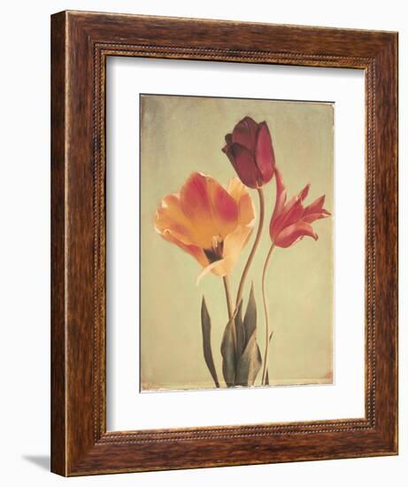 Spring Color III-Amy Melious-Framed Art Print