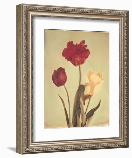 Spring Color IV-Amy Melious-Framed Art Print