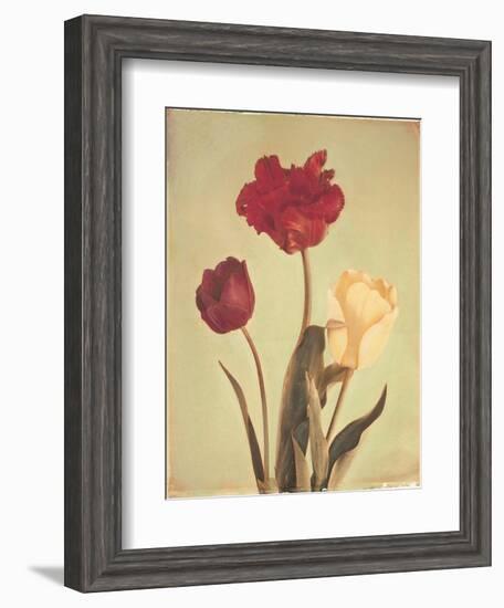 Spring Color IV-Amy Melious-Framed Art Print