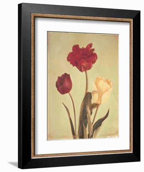 Spring Color IV-Amy Melious-Framed Art Print