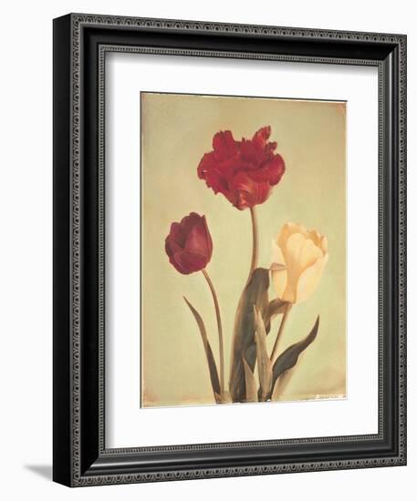 Spring Color IV-Amy Melious-Framed Art Print