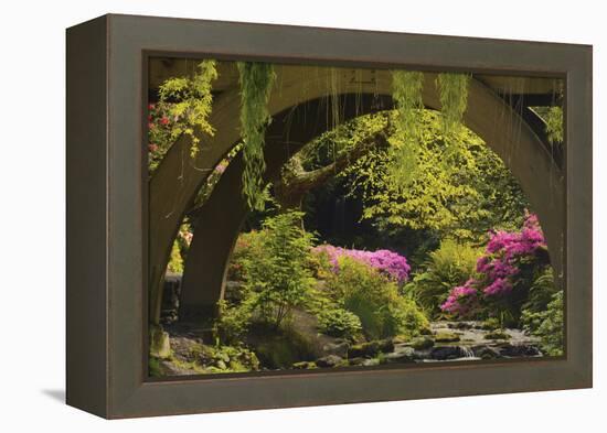 Spring Colors at Crystal Springs Rhododendron Garden, Oregon, USA-Michel Hersen-Framed Premier Image Canvas