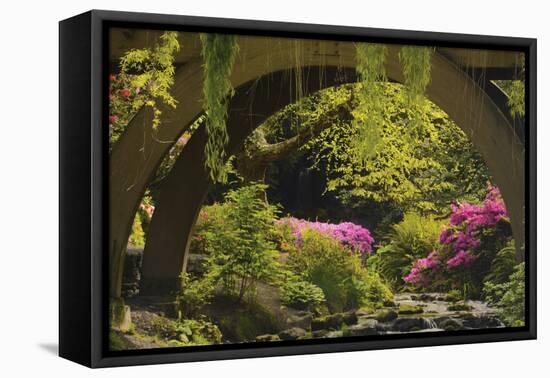 Spring Colors at Crystal Springs Rhododendron Garden, Oregon, USA-Michel Hersen-Framed Premier Image Canvas