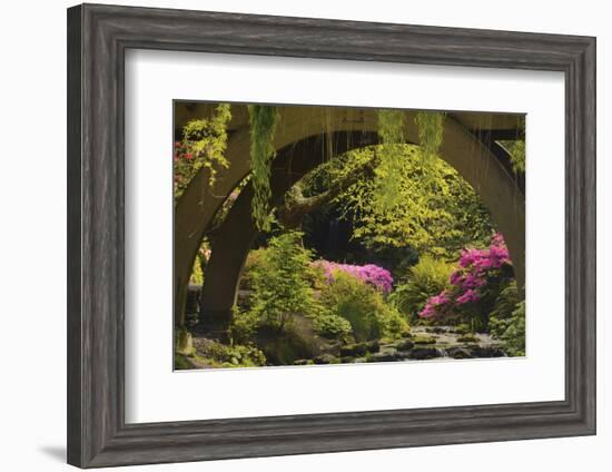 Spring Colors at Crystal Springs Rhododendron Garden, Oregon, USA-Michel Hersen-Framed Photographic Print