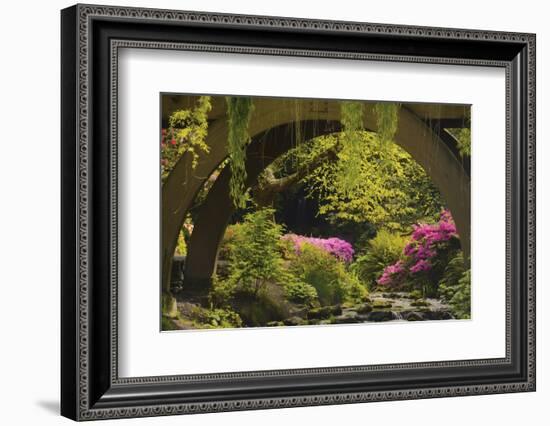 Spring Colors at Crystal Springs Rhododendron Garden, Oregon, USA-Michel Hersen-Framed Photographic Print