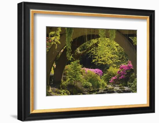 Spring Colors at Crystal Springs Rhododendron Garden, Oregon, USA-Michel Hersen-Framed Photographic Print