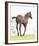 Spring Colt-Wink Gaines-Framed Giclee Print