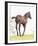 Spring Colt-Wink Gaines-Framed Giclee Print