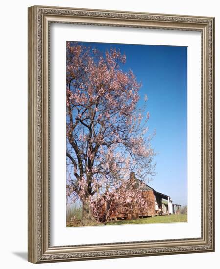 Spring Comes Down the Mississippi-Andreas Feininger-Framed Photographic Print