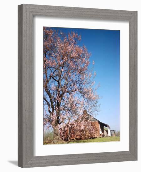 Spring Comes Down the Mississippi-Andreas Feininger-Framed Photographic Print