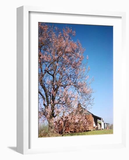 Spring Comes Down the Mississippi-Andreas Feininger-Framed Photographic Print