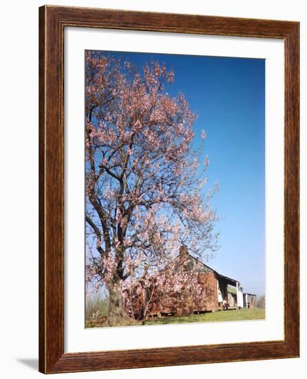 Spring Comes Down the Mississippi-Andreas Feininger-Framed Photographic Print