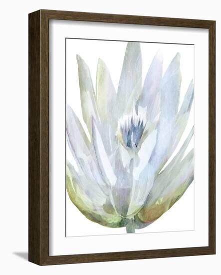 Spring Complexion-Tania Bello-Framed Giclee Print