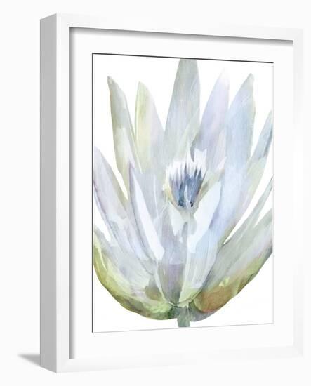 Spring Complexion-Tania Bello-Framed Giclee Print