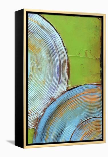 Spring Congo II-Erin Ashley-Framed Stretched Canvas