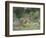 Spring Corner-Allan Myndzak-Framed Art Print