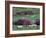 Spring Countryside with Sheep, County Cork, Ireland-Marilyn Parver-Framed Photographic Print