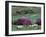 Spring Countryside with Sheep, County Cork, Ireland-Marilyn Parver-Framed Photographic Print