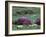 Spring Countryside with Sheep, County Cork, Ireland-Marilyn Parver-Framed Photographic Print