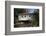 Spring Creek Covered Bridge, State College, Central County, Pennsylvania, United States of America,-Richard Maschmeyer-Framed Photographic Print