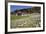 Spring Crocus Flowers, Eastern Alps, South Tyrol, Italy-Martin Zwick-Framed Photographic Print