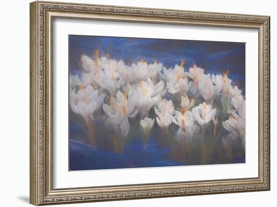 Spring Crocuses, 2018-Helen White-Framed Giclee Print