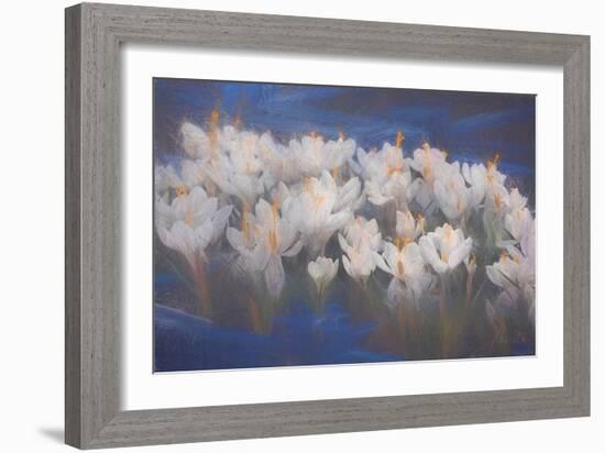 Spring Crocuses, 2018-Helen White-Framed Giclee Print