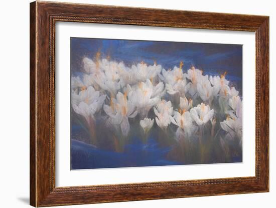 Spring Crocuses, 2018-Helen White-Framed Giclee Print