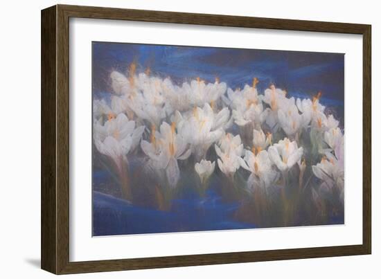 Spring Crocuses, 2018,-Helen White-Framed Giclee Print