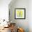 Spring Daffodils-Jenny Frean-Framed Giclee Print displayed on a wall