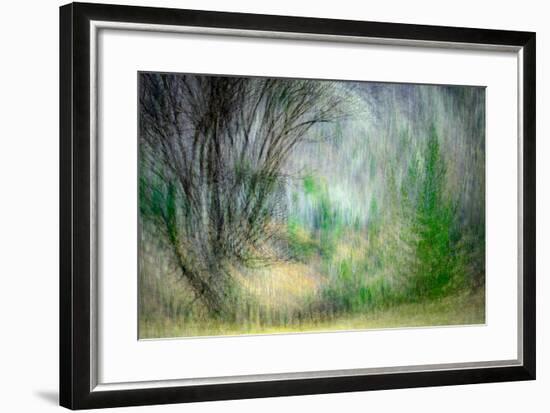 Spring Dance-Ursula Abresch-Framed Photographic Print