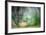 Spring Dance-Ursula Abresch-Framed Photographic Print