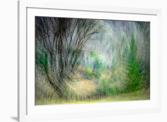 Spring Dance-Ursula Abresch-Framed Photographic Print