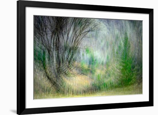 Spring Dance-Ursula Abresch-Framed Photographic Print