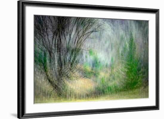 Spring Dance-Ursula Abresch-Framed Photographic Print