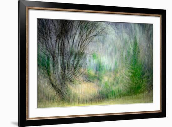 Spring Dance-Ursula Abresch-Framed Photographic Print