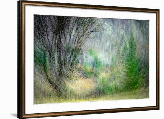 Spring Dance-Ursula Abresch-Framed Photographic Print