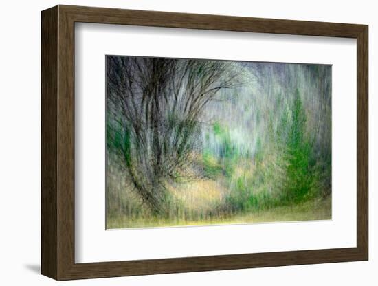 Spring Dance-Ursula Abresch-Framed Photographic Print